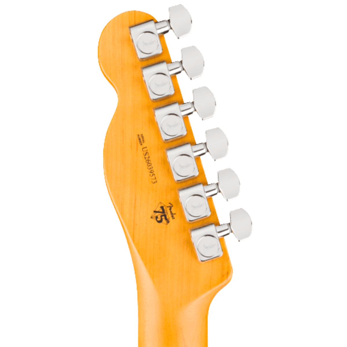 Fender American Professional Telecaster Electric Guitar, Rosewood Fingerboard, Natural
