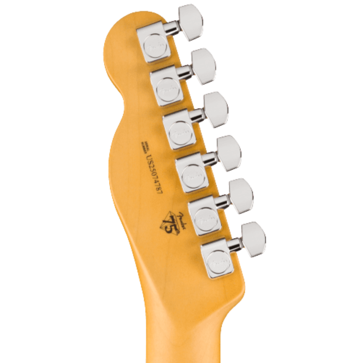 Fender American Professional Telecaster Electric Guitar, Maple Fingerboard, Oxblood