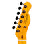 Fender American Professional Classic HotShot Telecaster Electric Guitar, Faded Lake Placid Blue