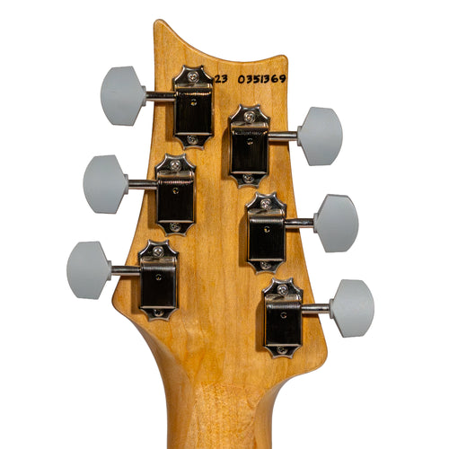 PRS Silver Sky Electric Guitar, Rosewood Fingerboard, Roxy Pink