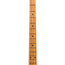 Music Man StingRay Special Bass Guitar, Roasted Maple Fingerboard, Translucent Oxblood
