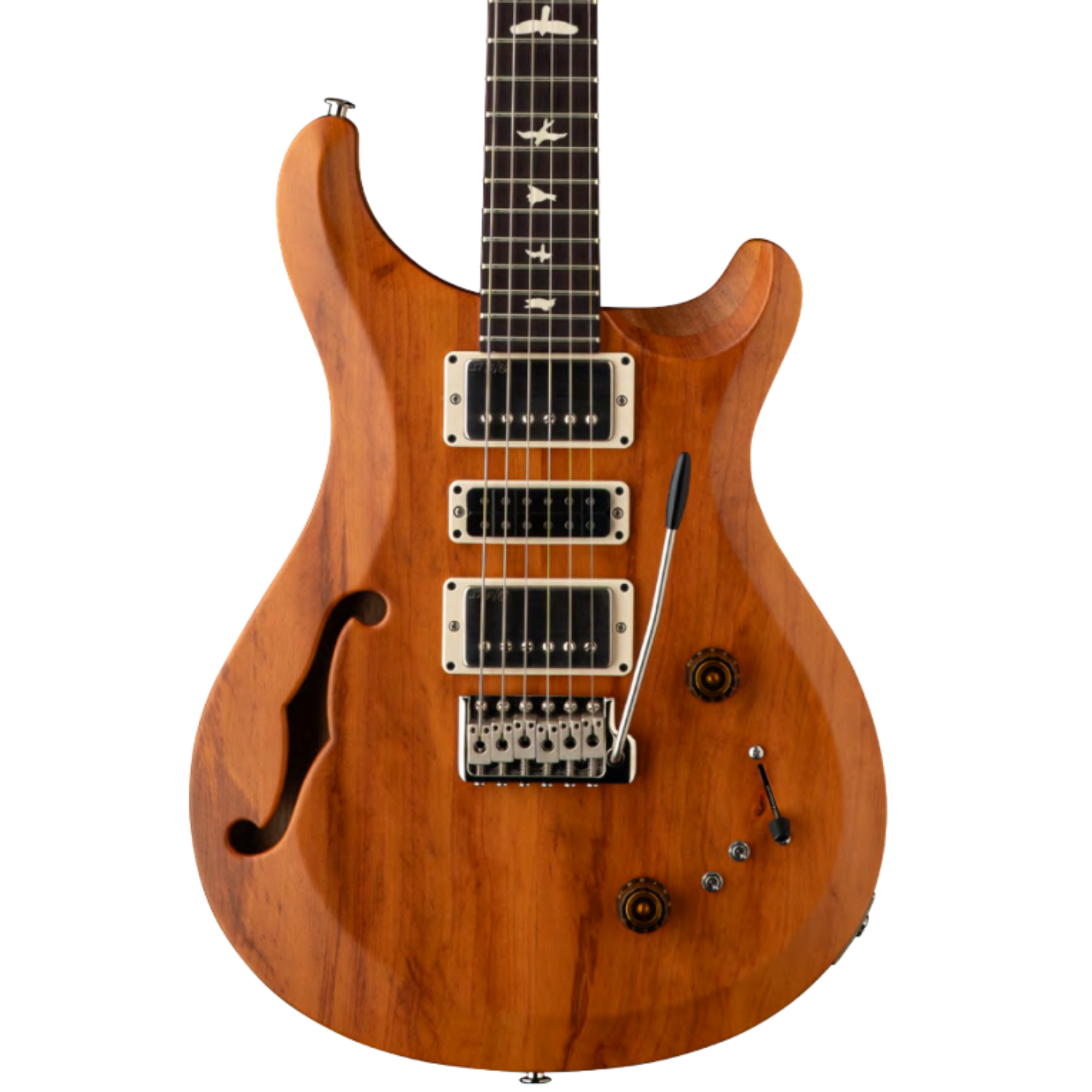 PRS S2 Special Semi-Hollow Reclaimed Limited Electric Guitar, Natural