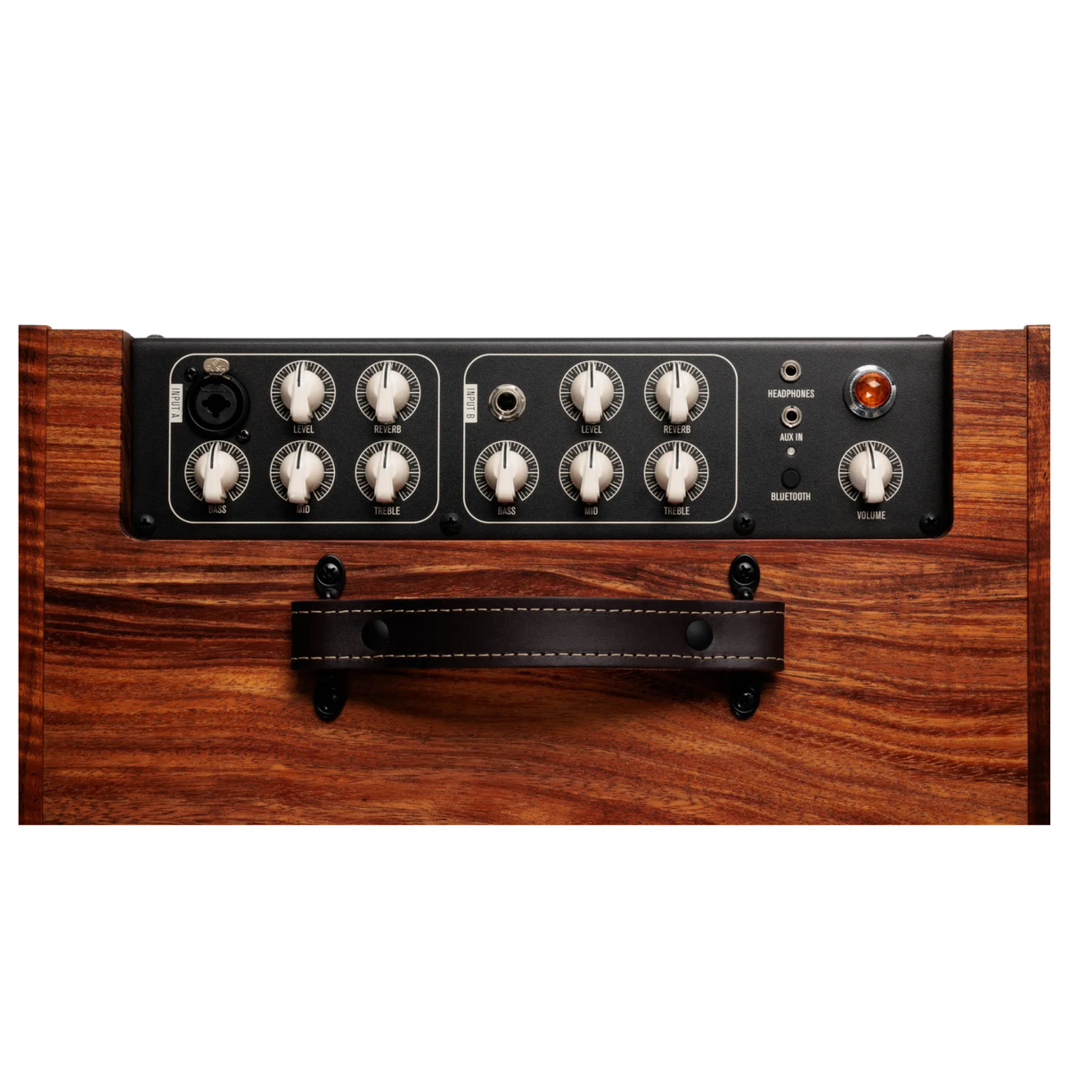 Taylor Circa 74 Acoustic Guitar/Vocal 1 x 10 Full-Range Combo Amplifier, Hawaiian Koa