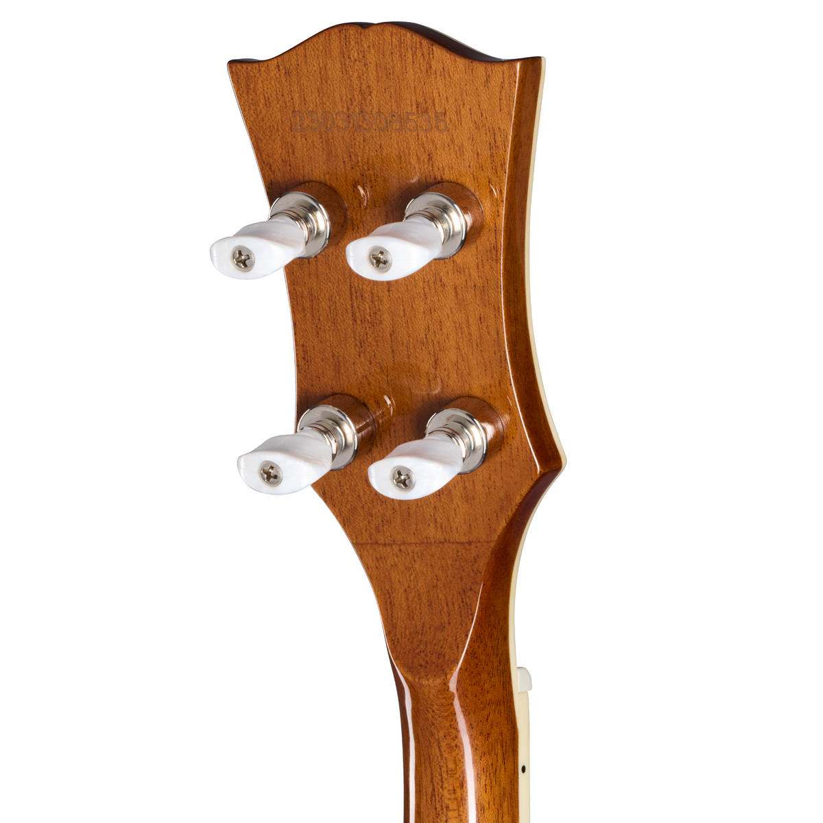 Epiphone Mastertone Bowtie Open Back Banjo w/Premium Gigbag, Natural