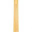 Fender American Professional II Stratocaster Rosewood, Roasted Pine