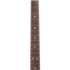 Fender Limited Edition Tom Delonge Stratocaster Electric Guitar, Daphne Blue