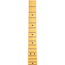 Fender Limited Edition American Professional II Telecaster Thinline, Transparent Daphne Blue