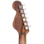 Fender King Vintage Acoustic-Electric Guitar, Ovangkol Fingerboard, Mojave w/Case