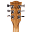 Gibson Les Paul Studio Session Electric Guitar, Honey Burst