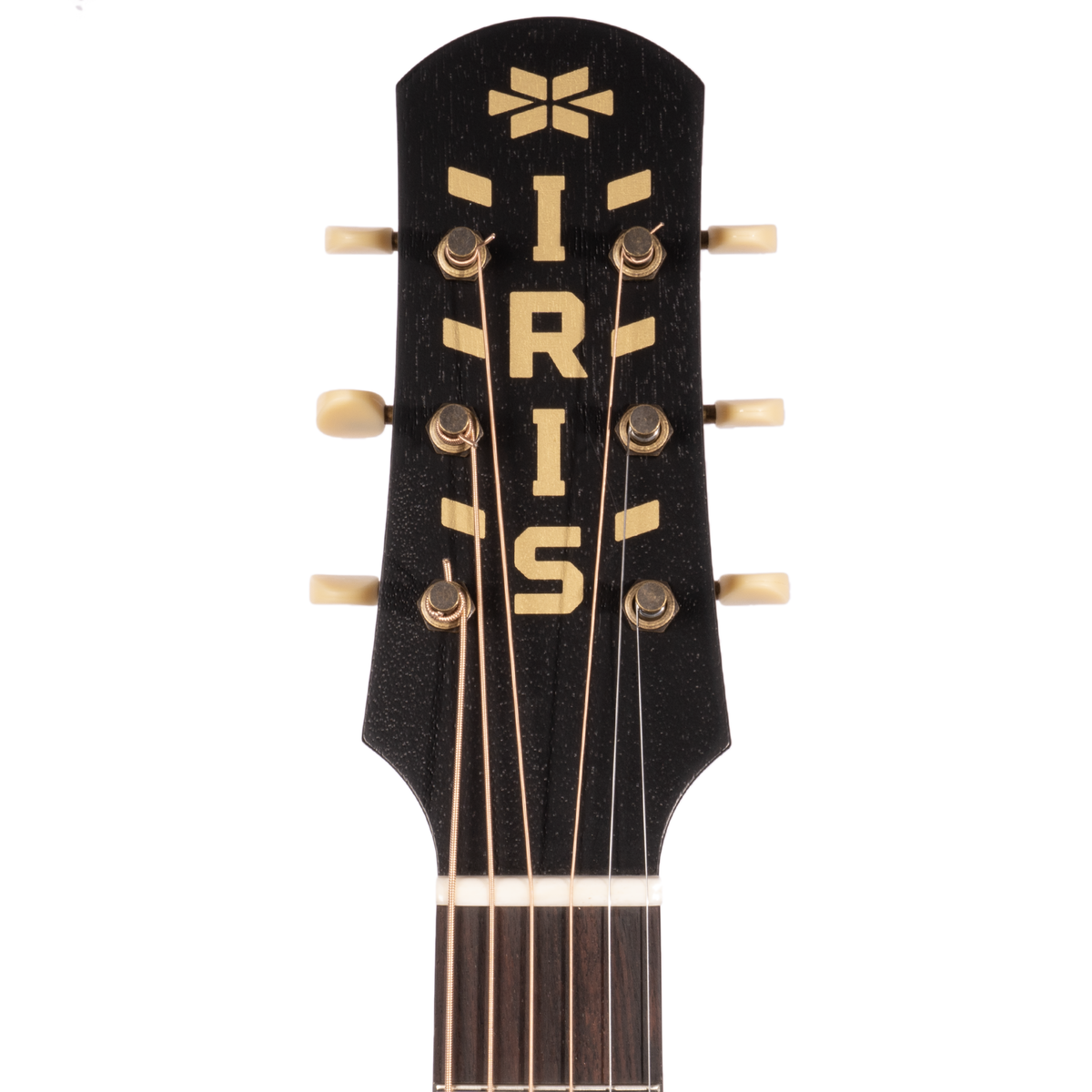 Iris Guitar Company SG-11 Acoustic Guitar w/ Ivoroid Tuxedo Binding/Pickguard, All Black