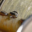 ‘50s WFL Drum Set, White Marine Pearl w/ Rogers Holiday Floor Tom and Hardware - Used