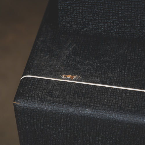 Reeves Custom 12 PS Guitar Amplifer Head w/2x12 Cabinet - Used