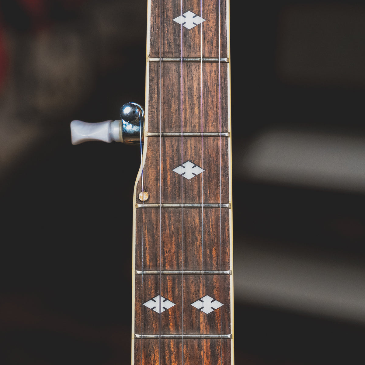 2005 Gold Tone Dojo DLX w/ OHSC - Used
