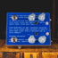 Caroline Guitar Company Megabyte Delay Effect Pedal, Blue Screen of Death - Used