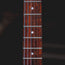 1995 Hamer Special DC Electric Guitar Natural w/ HSC - Used