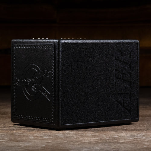 AER Compact 60/4 Tommy Emmanuel Twin Channel Acoustic Combo Amplifier w/OGB - Used