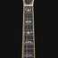 Gold Tone GM70+ F Style Mandolin, Carved Spruce Top, Two Tone Tobacco - Used