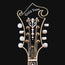 Gold Tone GM70+ F Style Mandolin, Carved Spruce Top, Two Tone Tobacco - Used