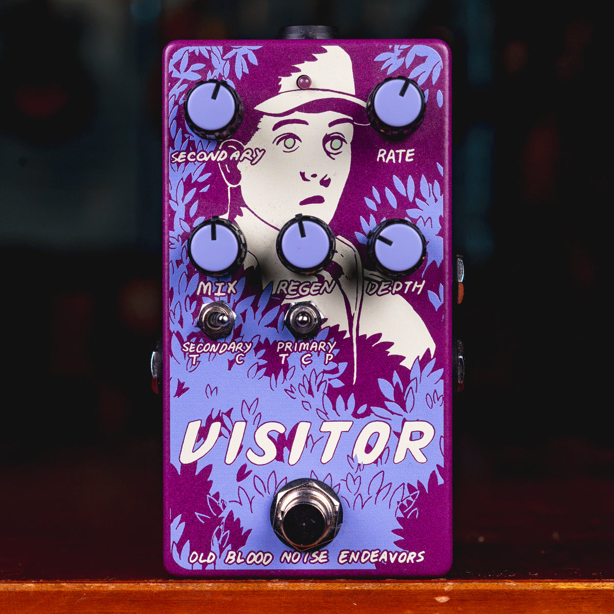 Old Blood Noise Endeavors Visitor Modulation Effect Pedal w/ Box - Used