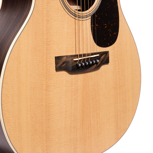 Martin GPC-16E Rosewood Acoustic Electric Guitar with Case
