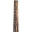 Martin GPC-16E Rosewood Acoustic Electric Guitar with Case