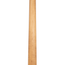 Music Man Stingray Special Bass, Ebony Fingerboard, Brulee