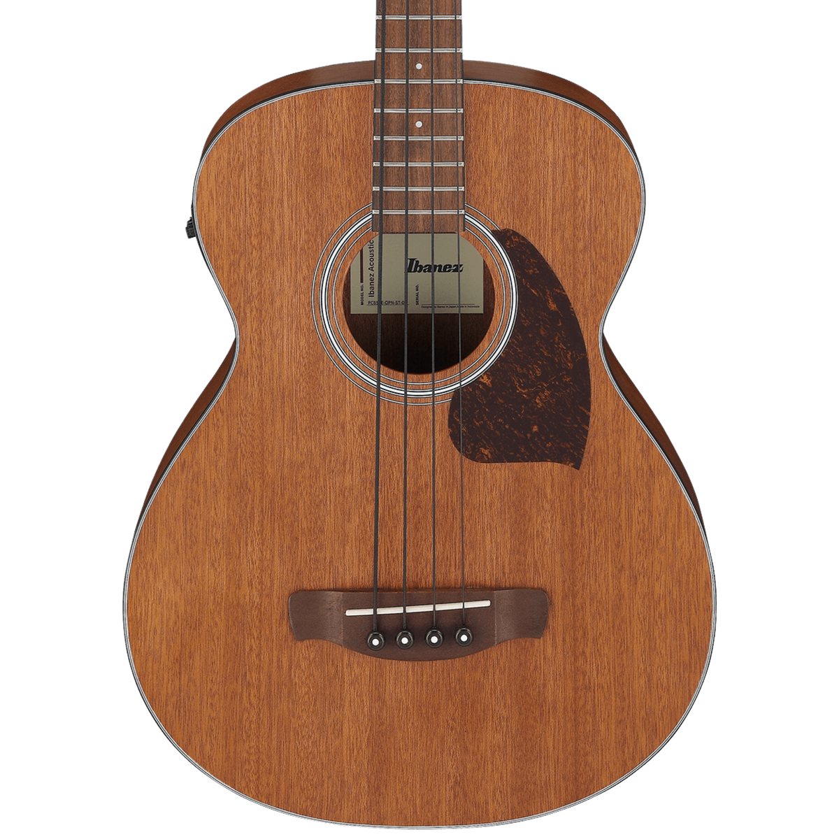 Ibanez PCB54 Electric-Acoustic Bass Guitar, Open Pore Natural