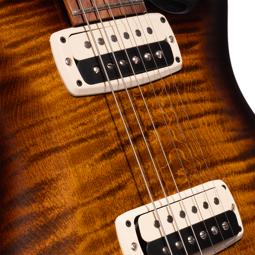PRS Paul's Guitar, Honduran Rosewood Fingerboard, Black Gold Wraparound Burst