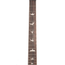 PRS S2 Mccarty 594 Thinline Electric Guitar, Black
