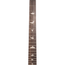 PRS S2 Standard 24 Satin Electric Guitar, Charcoal