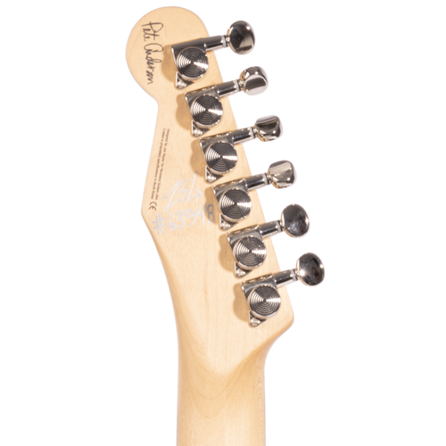 Reverend Pete Anderson Eastsider T Electric Guitar, Rosewood Fingerboard, Satin Outfield Ivy