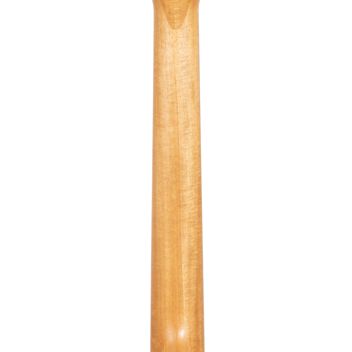 Taylor 210CE Plus Dreadnought