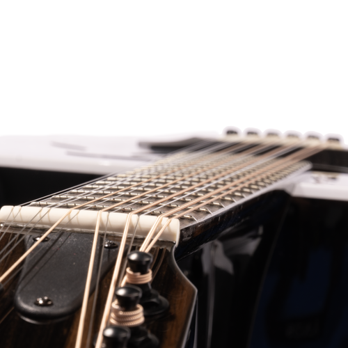 Taylor 250ce-BLK Plus 12-string Dreadnought Acoustic Electric Guitar, Sitka Spruce/Big Leaf Maple