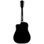 Taylor 250ce-BLK Plus 12-string Dreadnought Acoustic Electric Guitar, Sitka Spruce/Big Leaf Maple