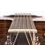 Taylor 254ce Plus 12-string Grand Auditorium Acoustic-Electric Guitar, Sitka Spruce/Indian Rosewood