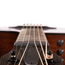 Taylor 324ce Grand Auditorium Acoustic Guitar, Hardwood Mahogany Top and Tasmanian Blackwood Back & Sides