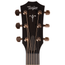 Taylor 722ce Grand Concert, All Koa Acoustic Guitar