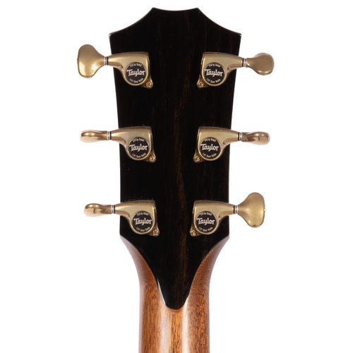 Taylor 914ce Grand Auditorium Acoustic Electric Guitar w/ Hardshell Case