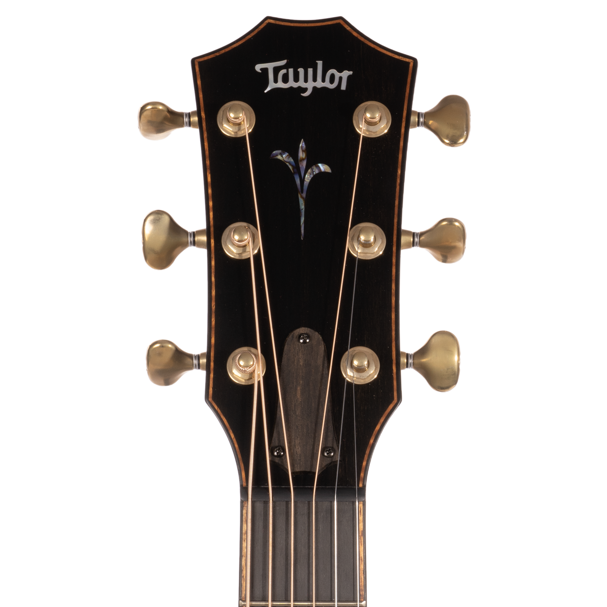 Taylor Builder's Edition K24CE Grand Auditorium Kona Burst V Class Bracing