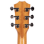 Taylor GS Mini Spruce Top Sapele Back and Sides Acoustic Guitar, Natural