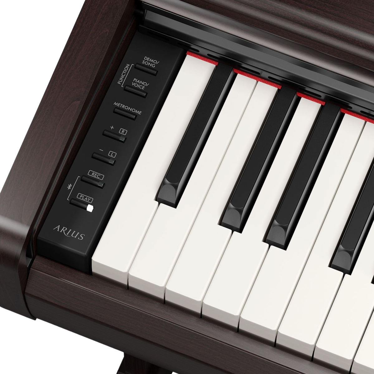 Yamaha YDP-146 Arius 88-Key Console Digital Piano w/ Bench, Dark Rosewood