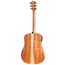 Taylor Academy 10e LTD Dreadnought Acoustic-Electric Guitar, Torrefied Spruce/Koa, Natural