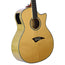 Dean Guitars QSE GN Acoustic Electric With Case - Used
