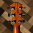 Taylor 2008 DN4 With OHC - Used