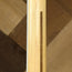 Fender Parallel Universe Telecaster Thinline Superdeluxe With OHSC - Used