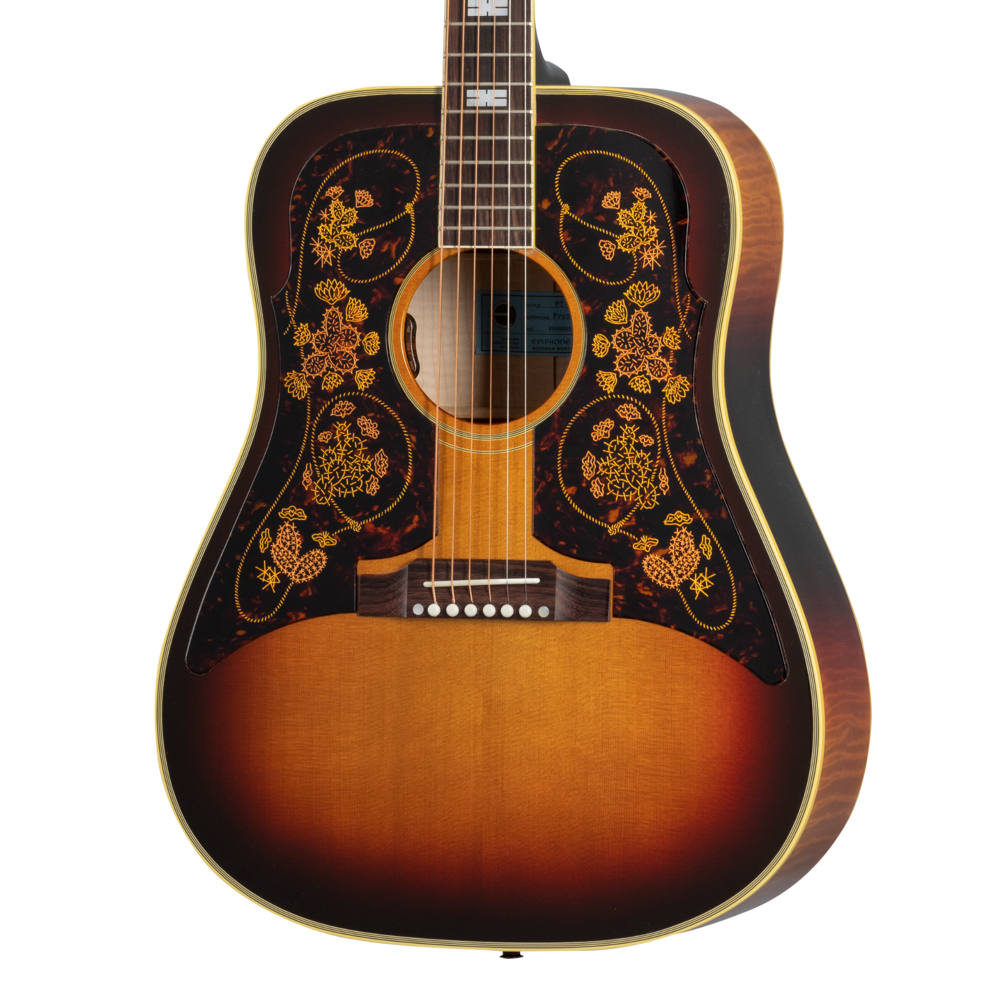EpiphoneUSAChrisStapletonFront EpiphoneUSAChrisStapletonFront