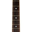 Heritage Standard H-530 Hollow Body Electric Guitar, Ebony Finish, Limited