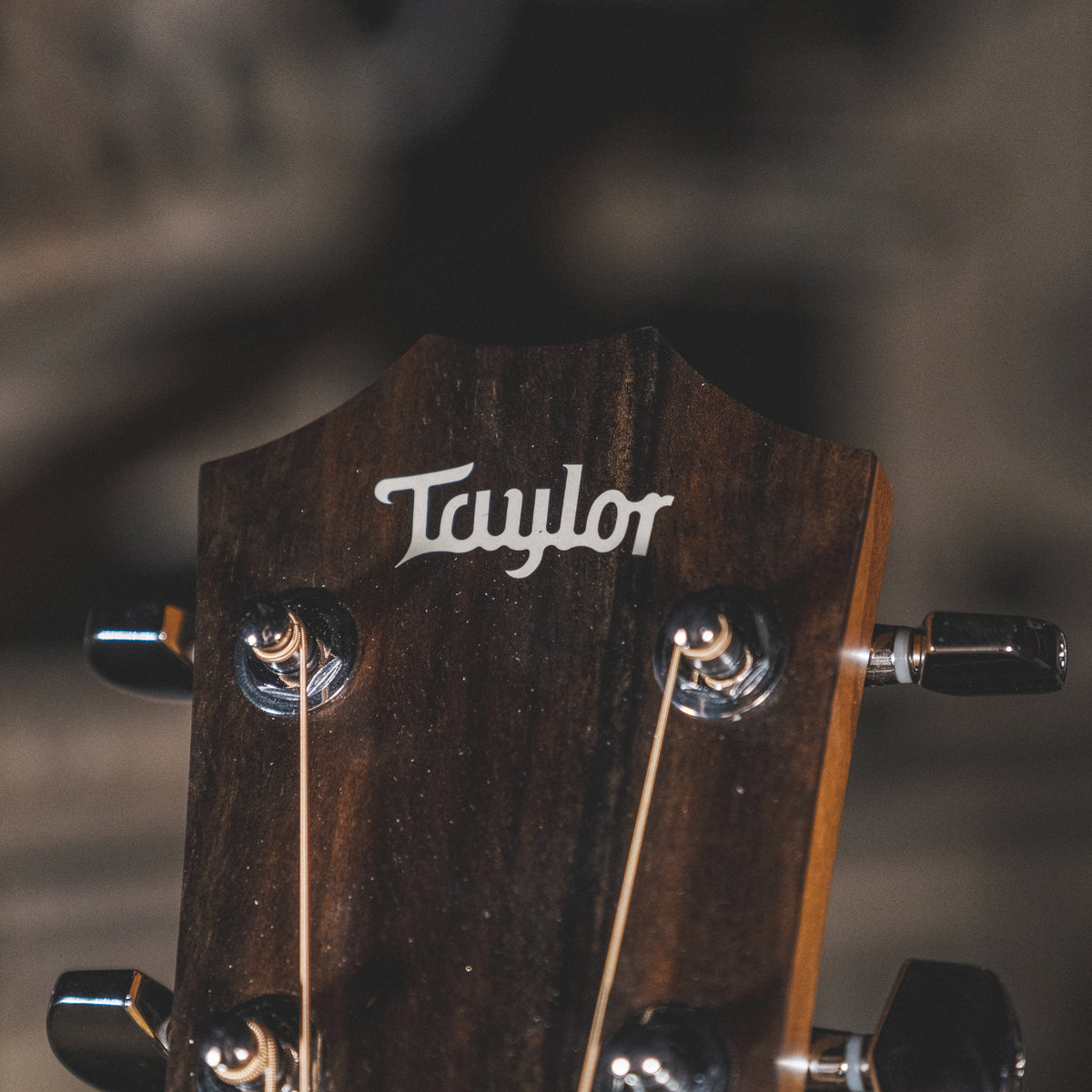 Taylor 2021 110E With OGB - Used