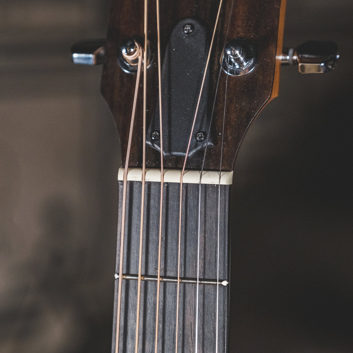 Taylor 2021 110E With OGB - Used