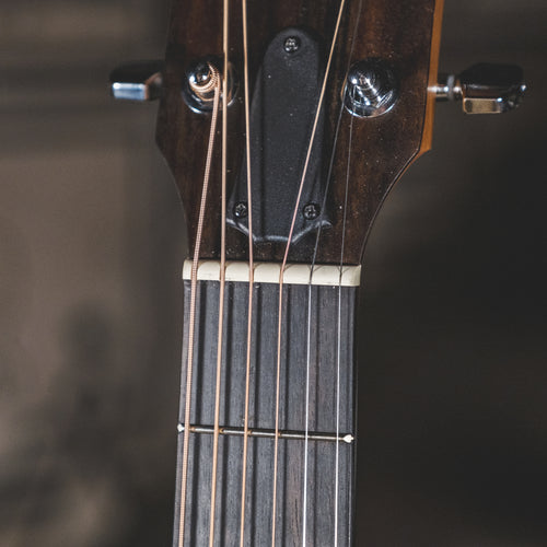 Taylor 2021 110E With OGB - Used